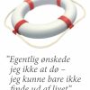 âEgentlig ønskede jeg ikke at dø - jeg kunne bare ikke finde ud af livetâ (E-bog)